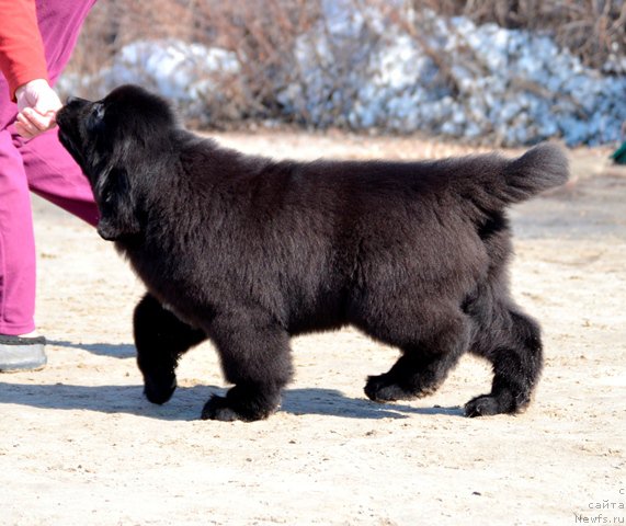 Фото: Акватория Келвин Даллас