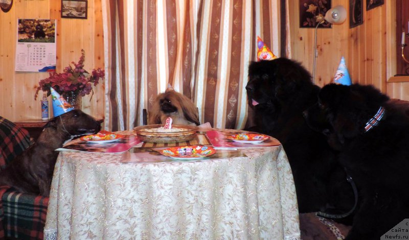 Фотография № 178935