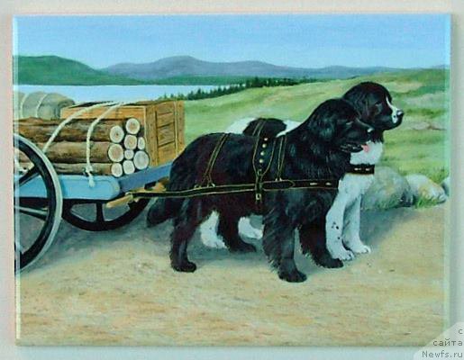 Фотография № 178985