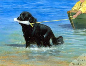 Фотография № 178986