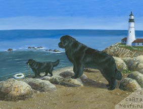 Фотография № 178988