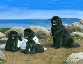 Фотография № 178989