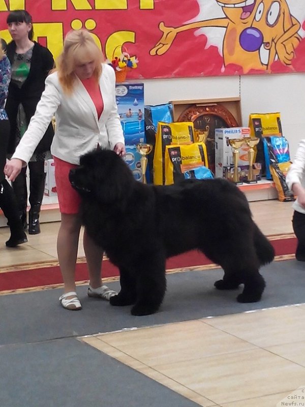 Фотография № 179043