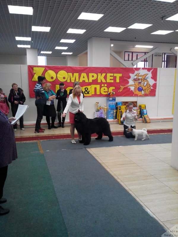 Фотография № 179044