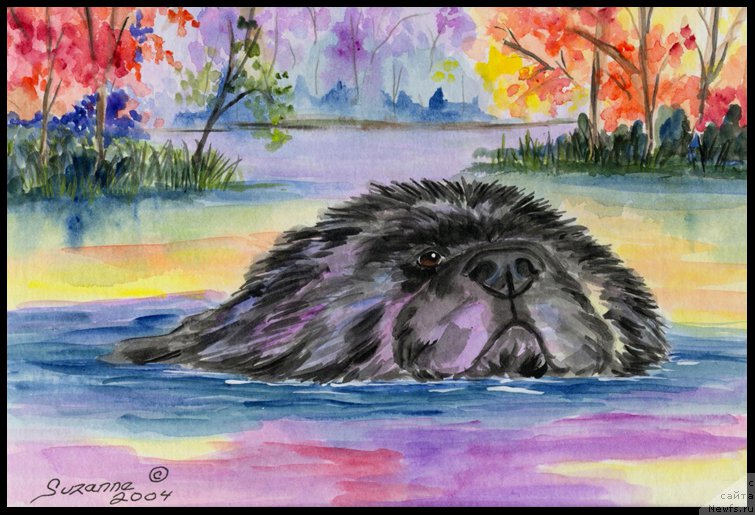 Фотография № 179047