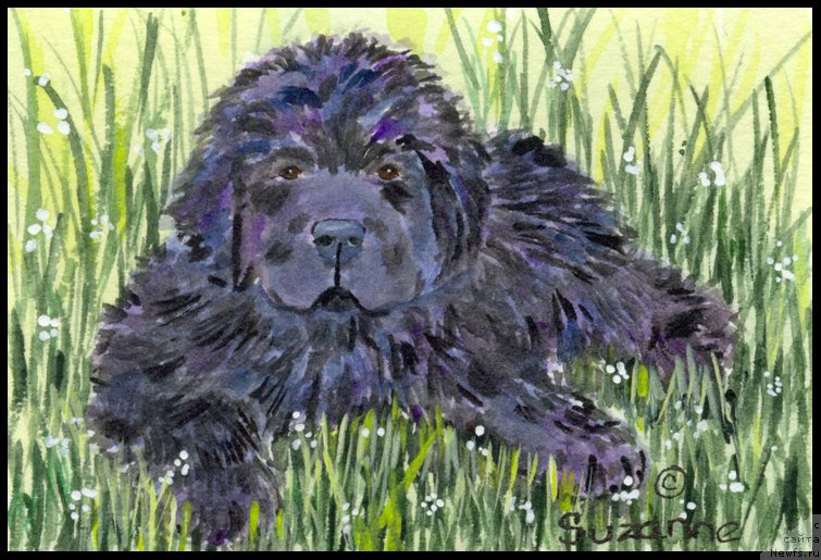 Фотография № 179048