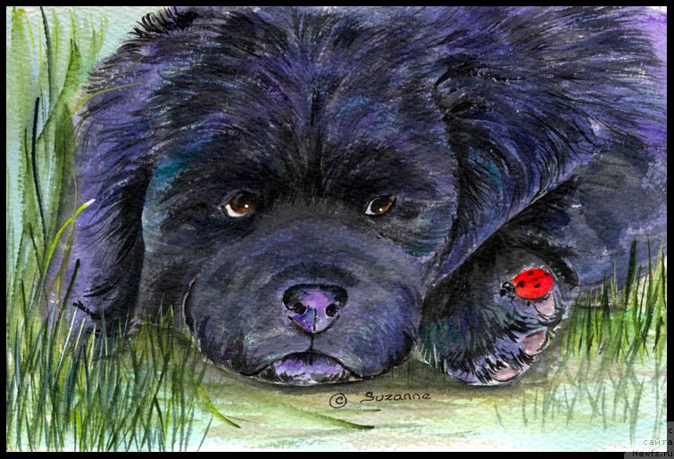 Фотография № 179049