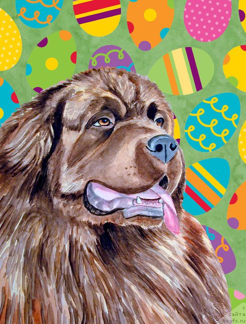 Фотография № 179050