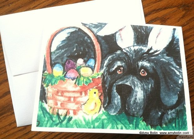 Фотография № 179051