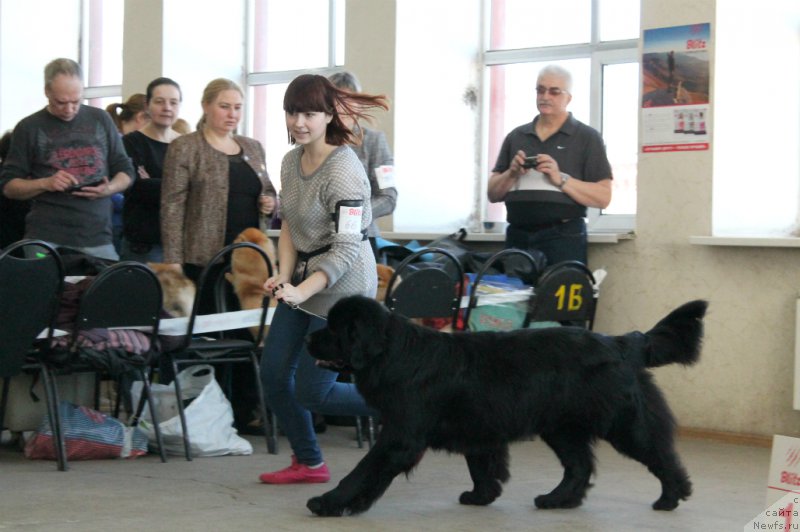 Фотография № 179079