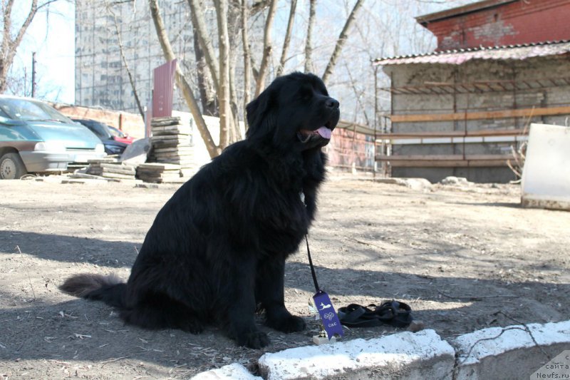 Фотография № 179085