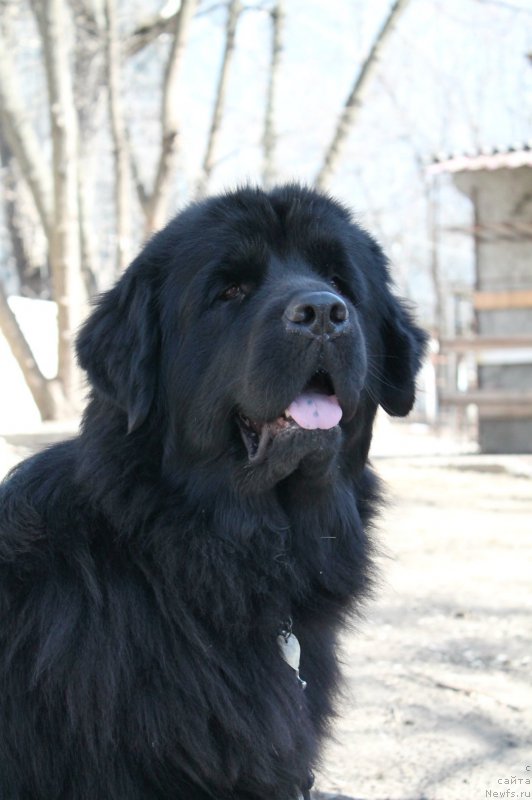 Фотография № 179088