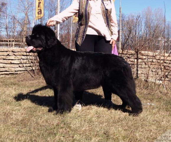 Фотография № 179090