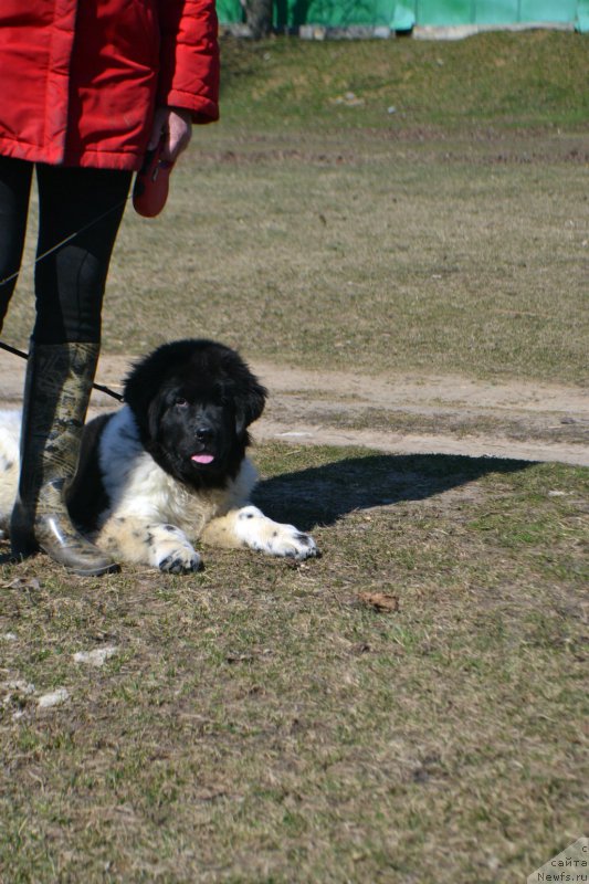 Фотография № 179119