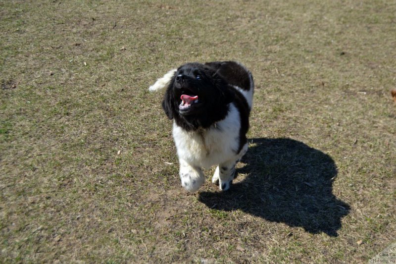 Фотография № 179121