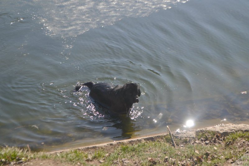 Фотография № 179123