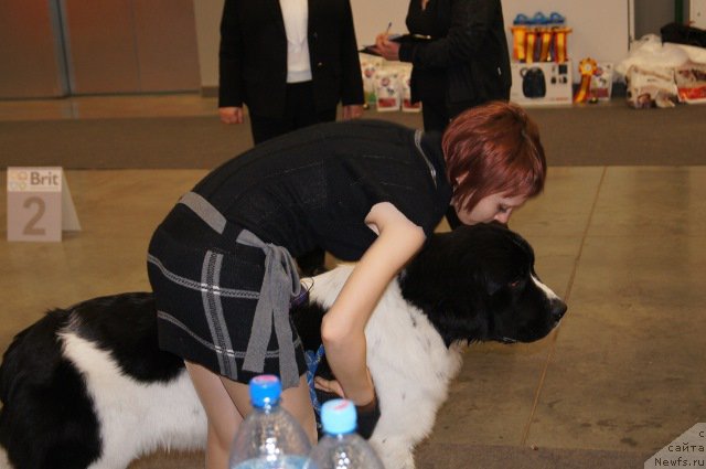 Фотография № 179211