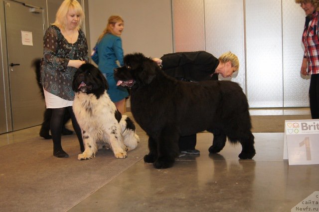 Фотография № 179226