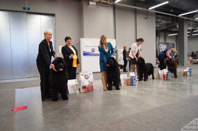 Фотография № 179239