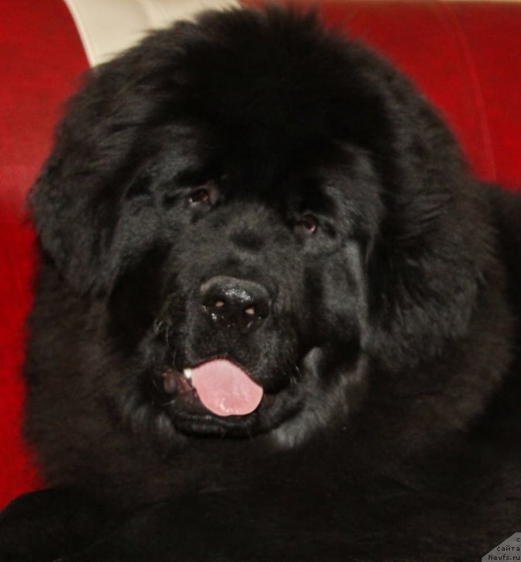 Фотография № 179257