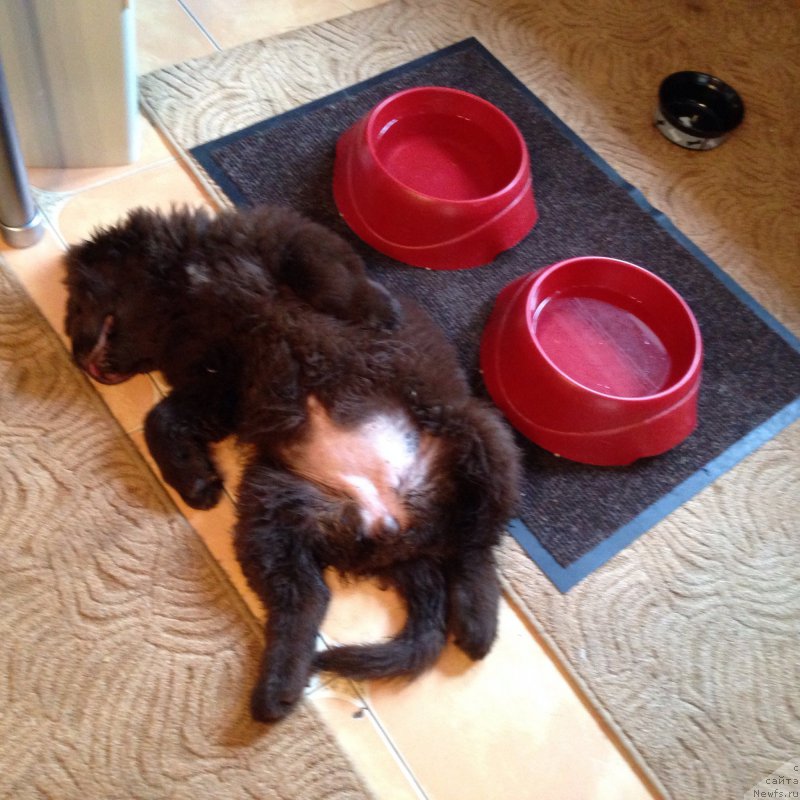 Фотография № 179274