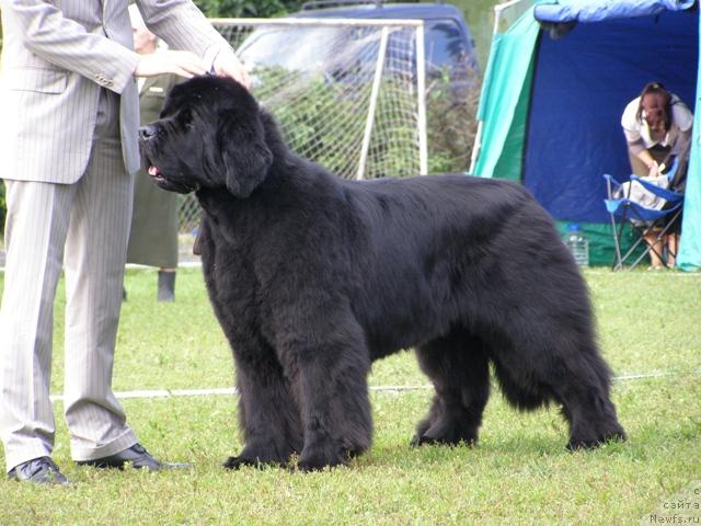 Фотография № 17928