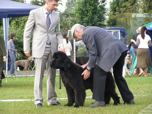 Фотография № 17931