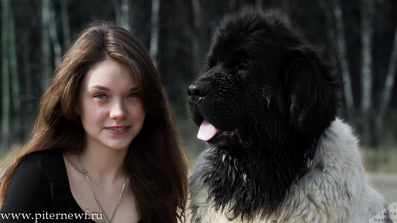 Фотография № 179319