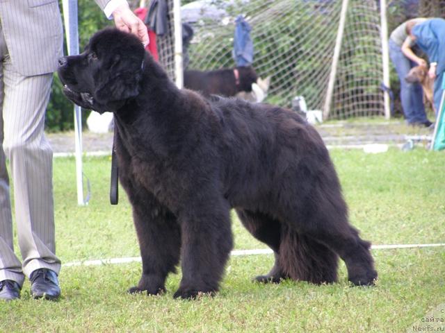 Фотография № 17932