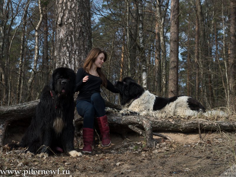 Фотография № 179326