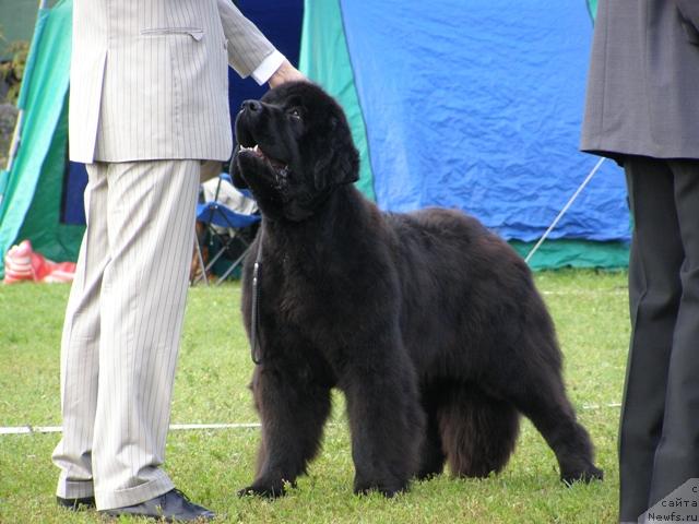 Фотография № 17933