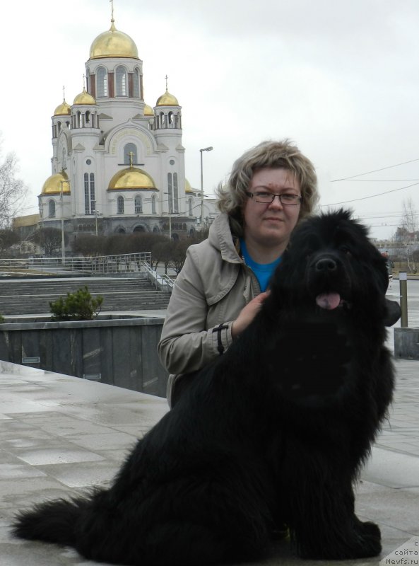 Фото: ньюфаундленд Ih Vyisochestvo Divnaya Carica (Их Высочество Дивная Царица), YAna Lipovceva (Яна Липовцева)