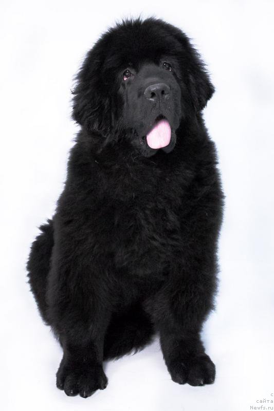 Фотография № 179349