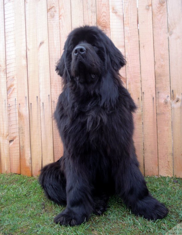 Фотография № 179362