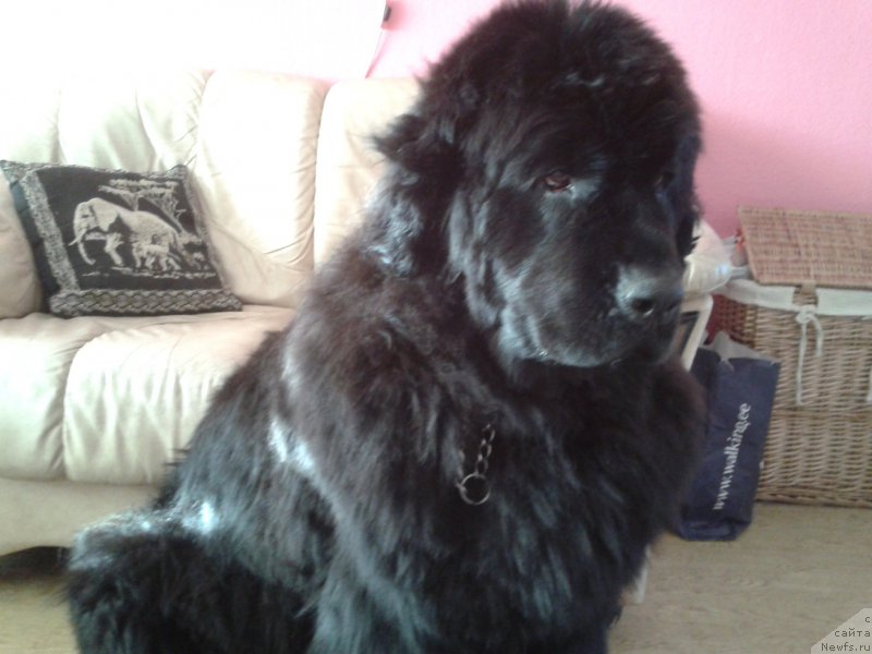 Фотография № 179373