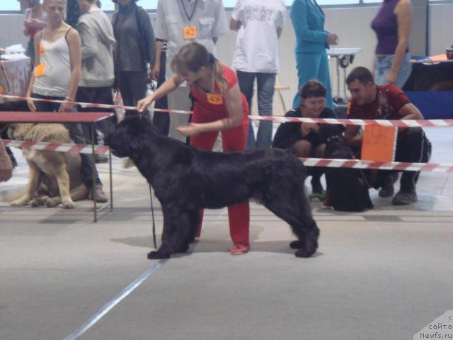 Фотография № 17940