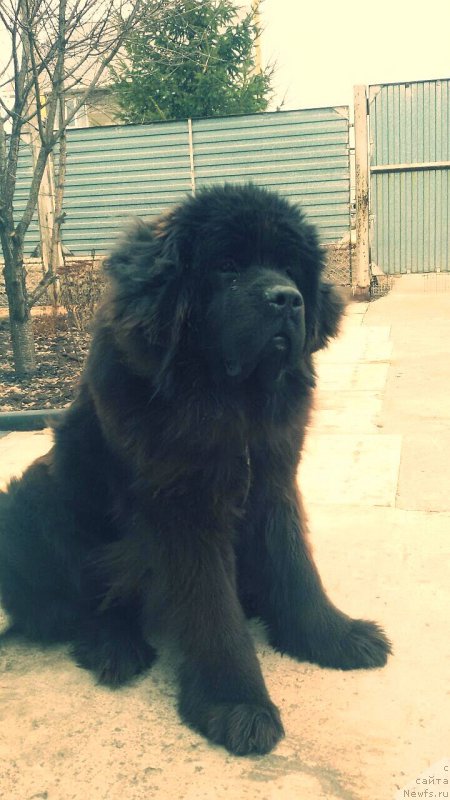 Фотография № 179444