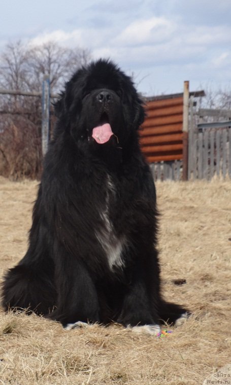 Фотография № 179481