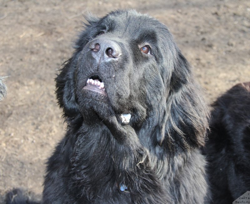 Фотография № 179493