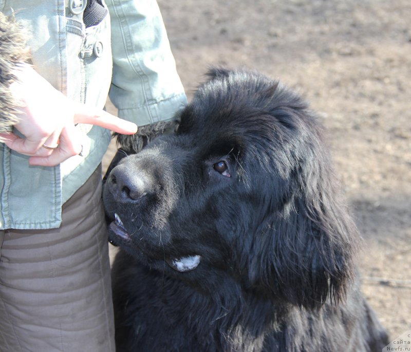 Фотография № 179494