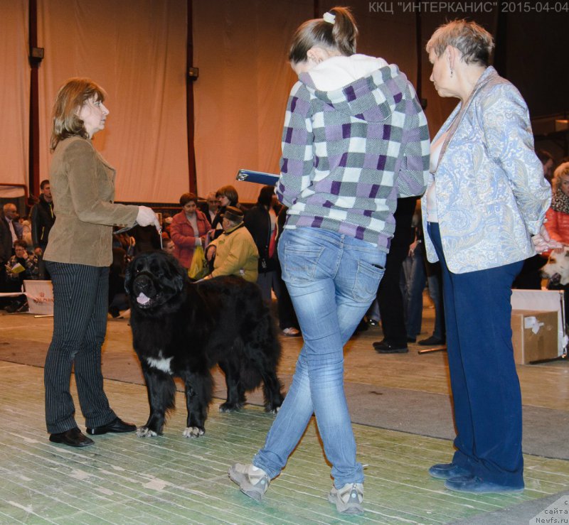 Фотография № 179505