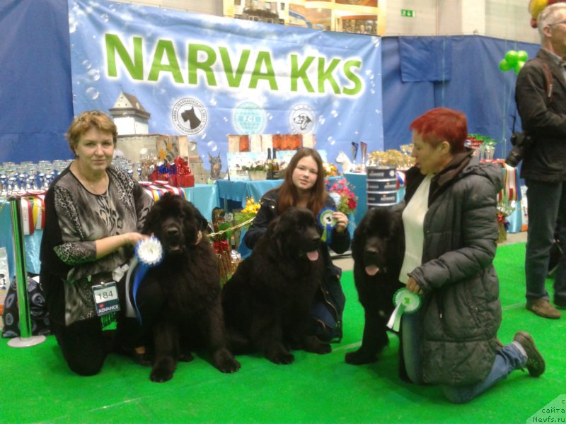 Фотография № 179530