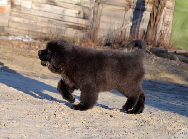 Фотография № 179556