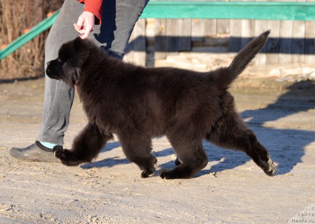 Фотография № 179559