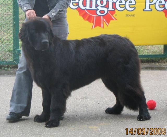 Фотография № 17957