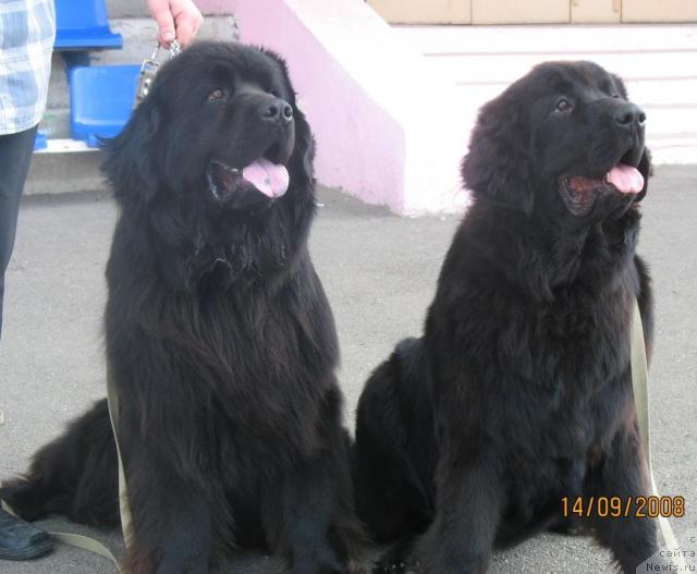 Фотография № 17958