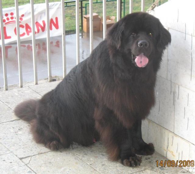 Фотография № 17959