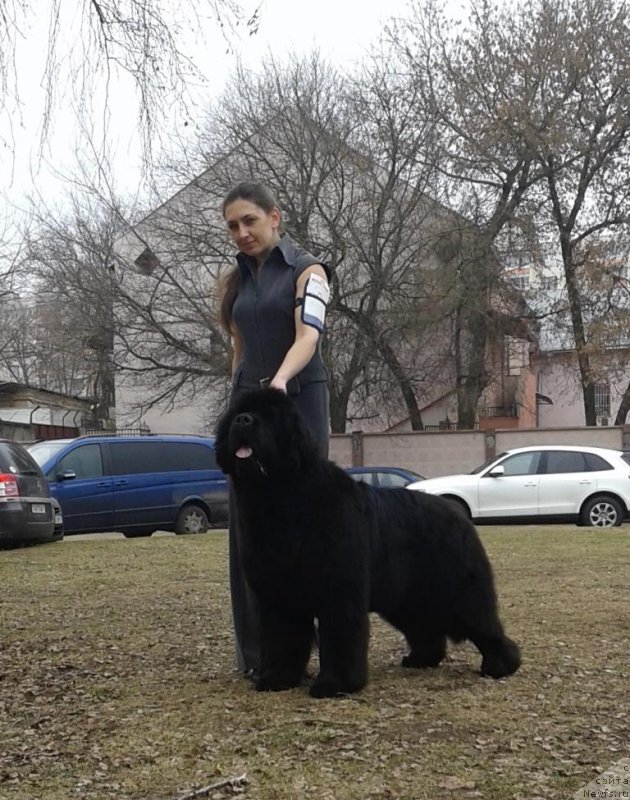 Фото: Rain Cost Icebreaker Volotovo - 