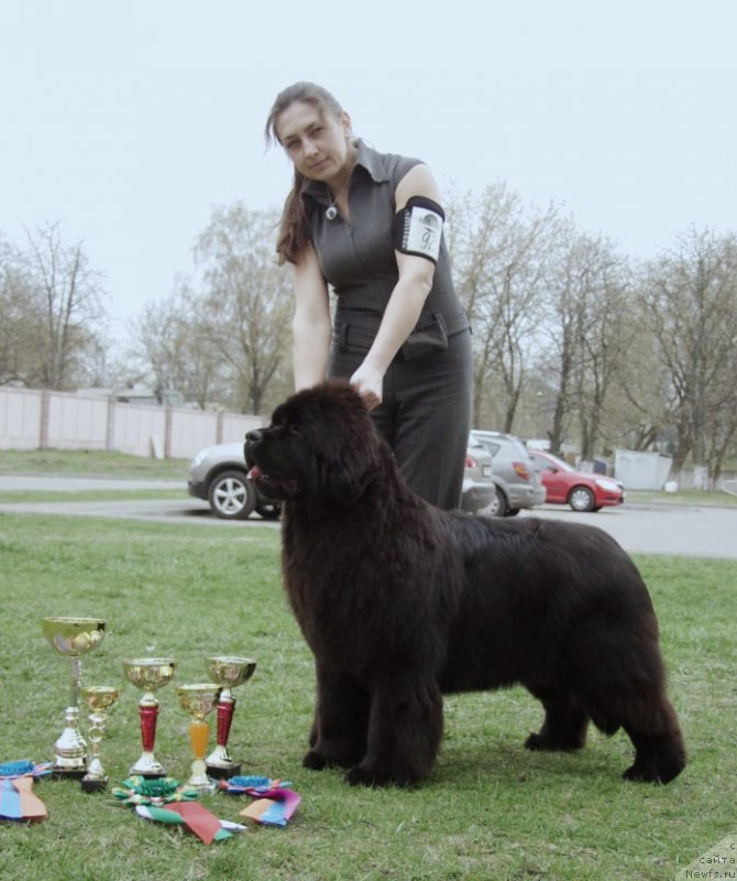 Фотография № 179607