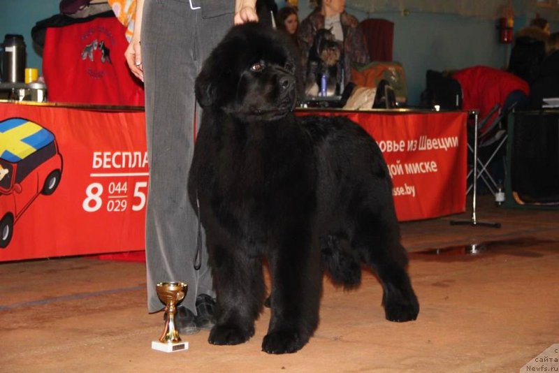 Фото: J'jouejusqu'a Laviktoire iz Volotova - 